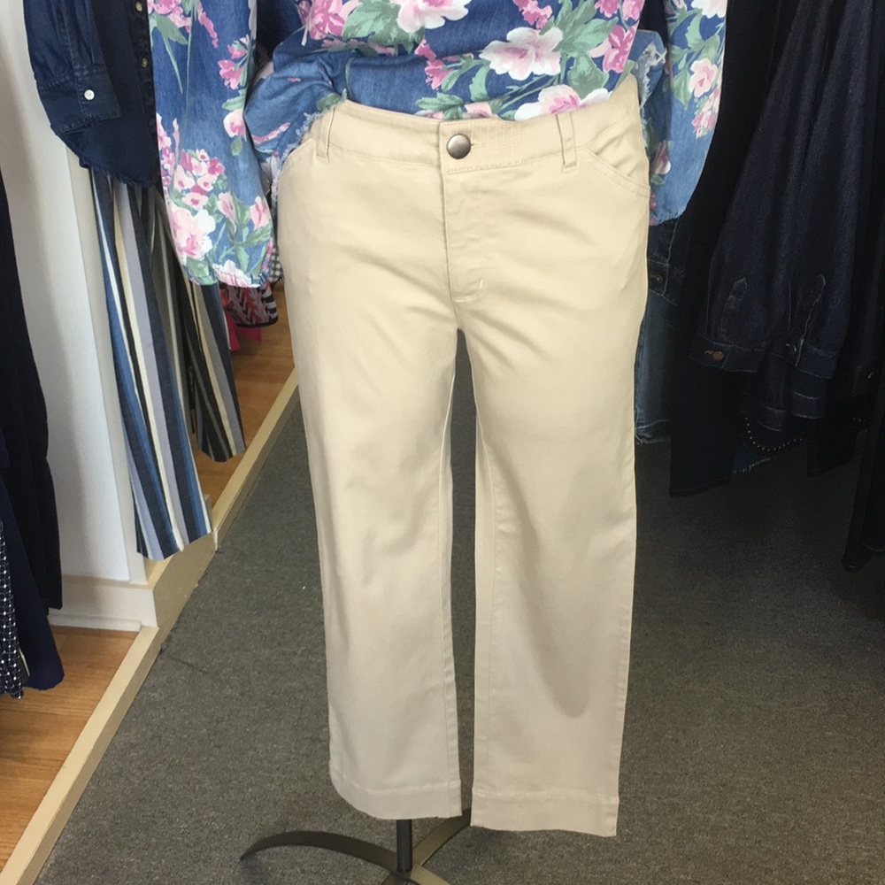 Tribal Fit and Flair Khaki Pant